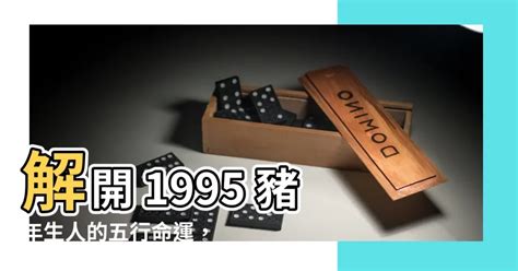 1995 豬 五行